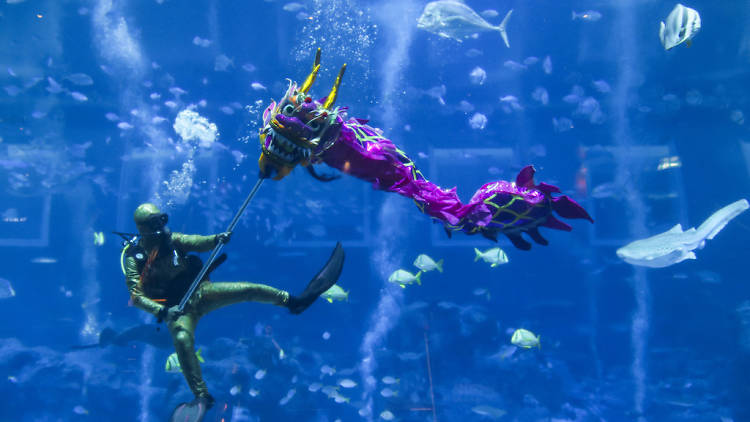 A World of Underwater Treasures Await at Abundance In The Sea