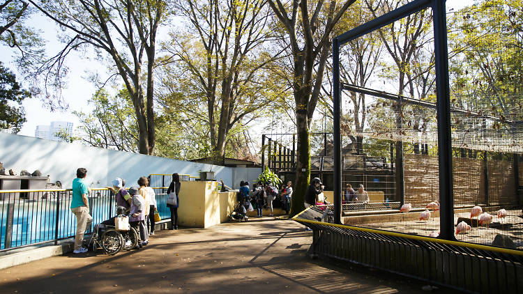 Yumemigasaki Zoo