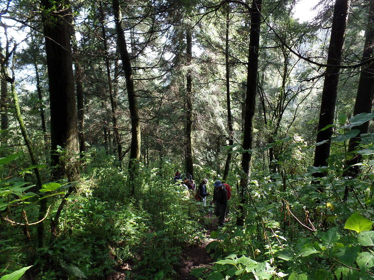 Experiencias en la naturaleza para relajarte sin salir de la CDMX