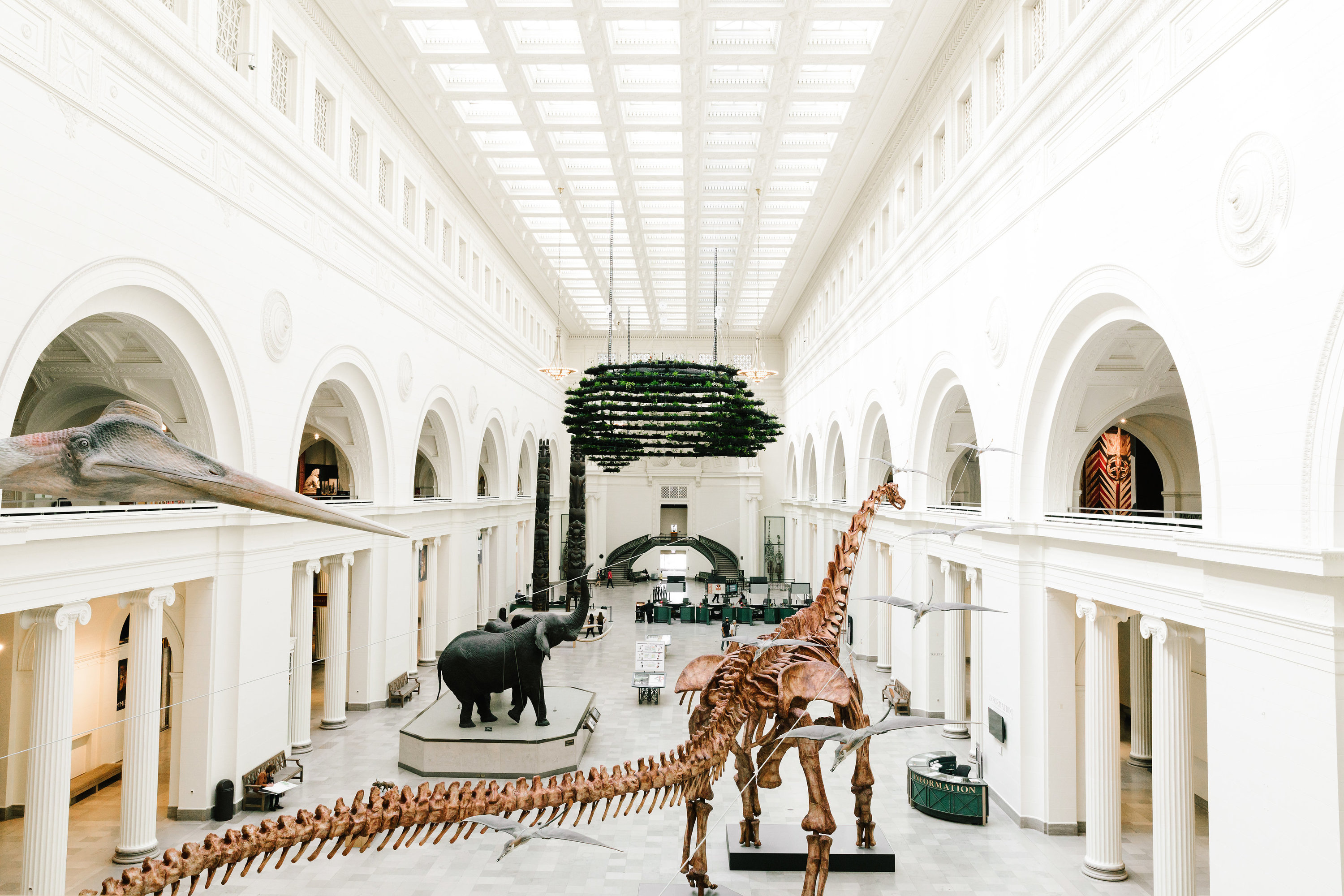 13 Best Chicago Museums You Should Explore Today