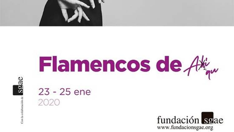 Flamencos de aquí Flamencos de aquí
