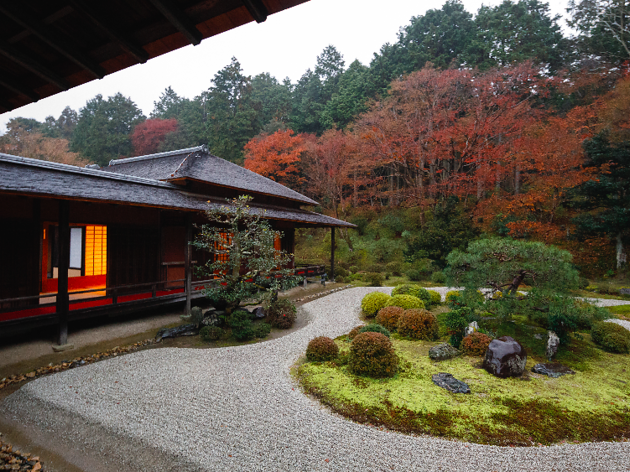 曼珠院 曼珠院
