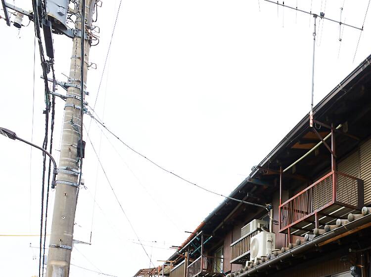 Make your own lucky kitty