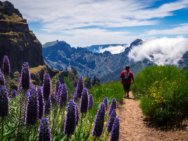 Madeira Madeira