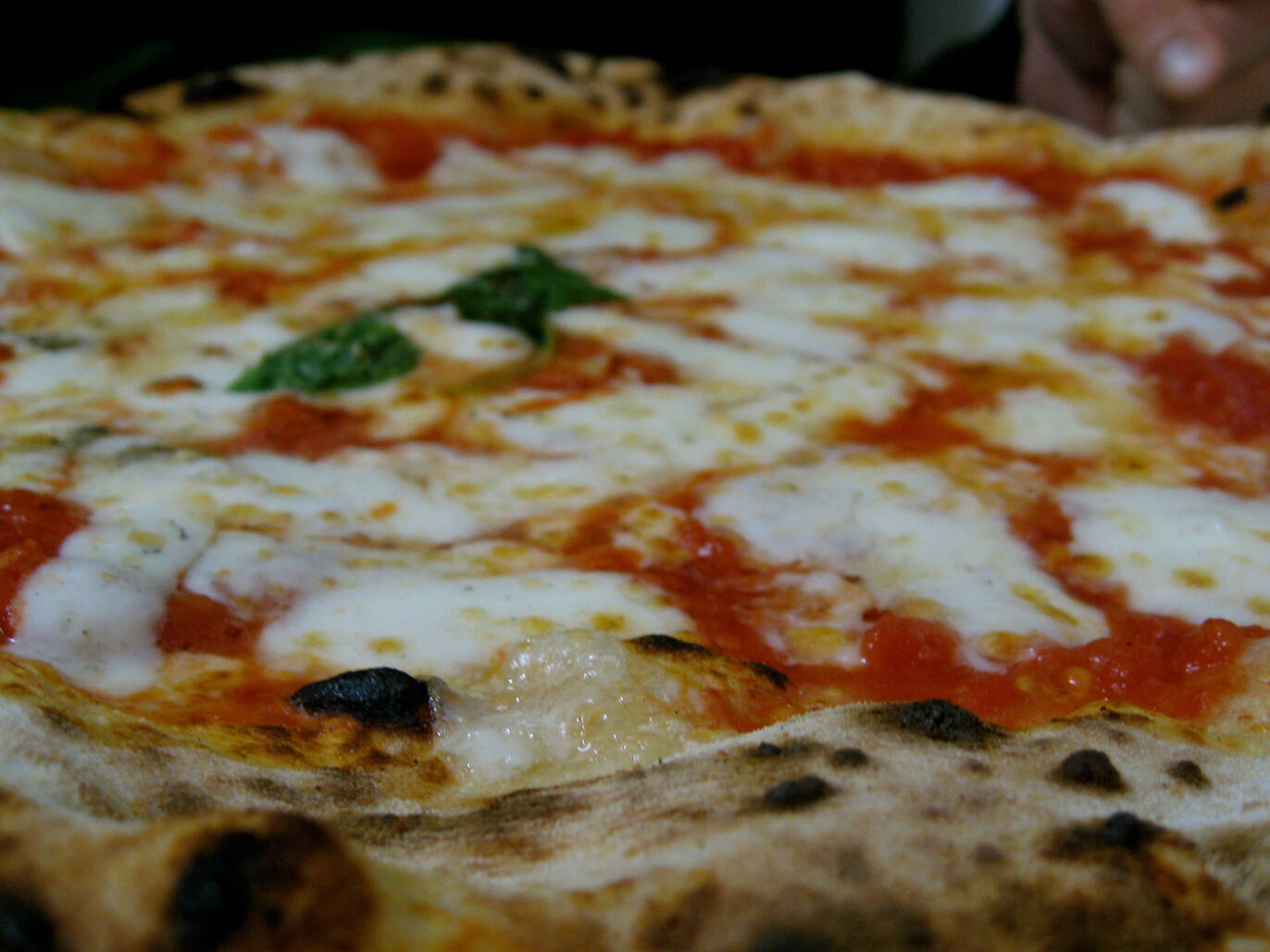 13 Best Pizzerias in Naples, Picked By Locals
