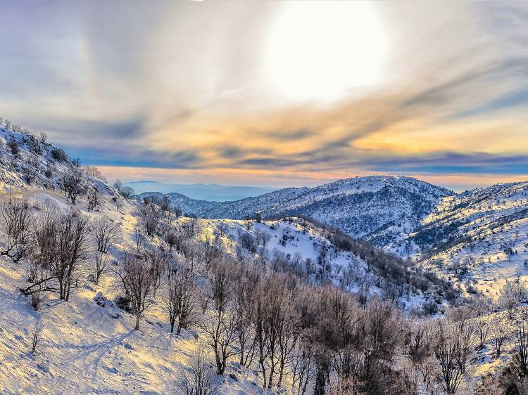 Stormy Weathers: things to do in Israel during rain, wind or snow