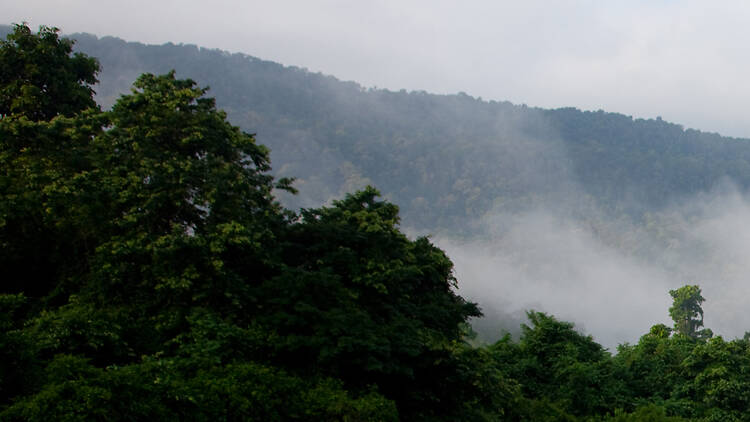 Endau-Rompin National Park