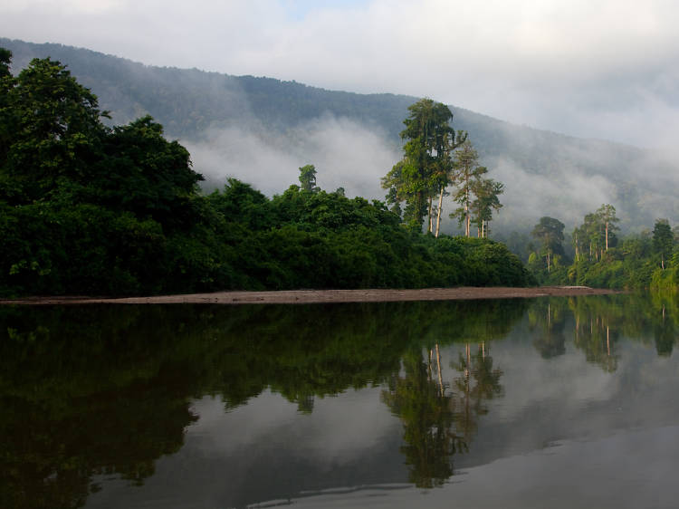 Endau-Rompin National Park