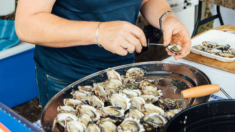 Person shucking a large platter of oysters