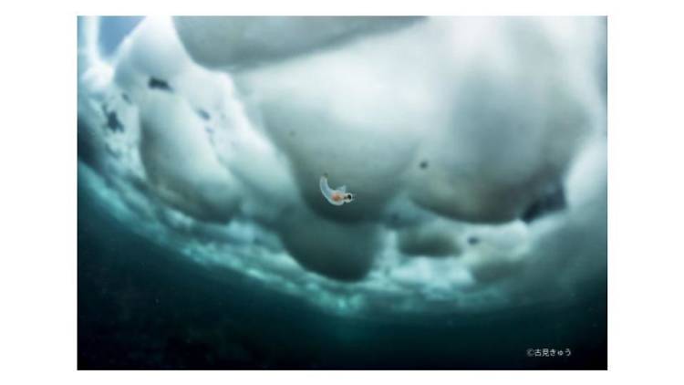 古見きゅう写真展「JAPAN’S SEA」