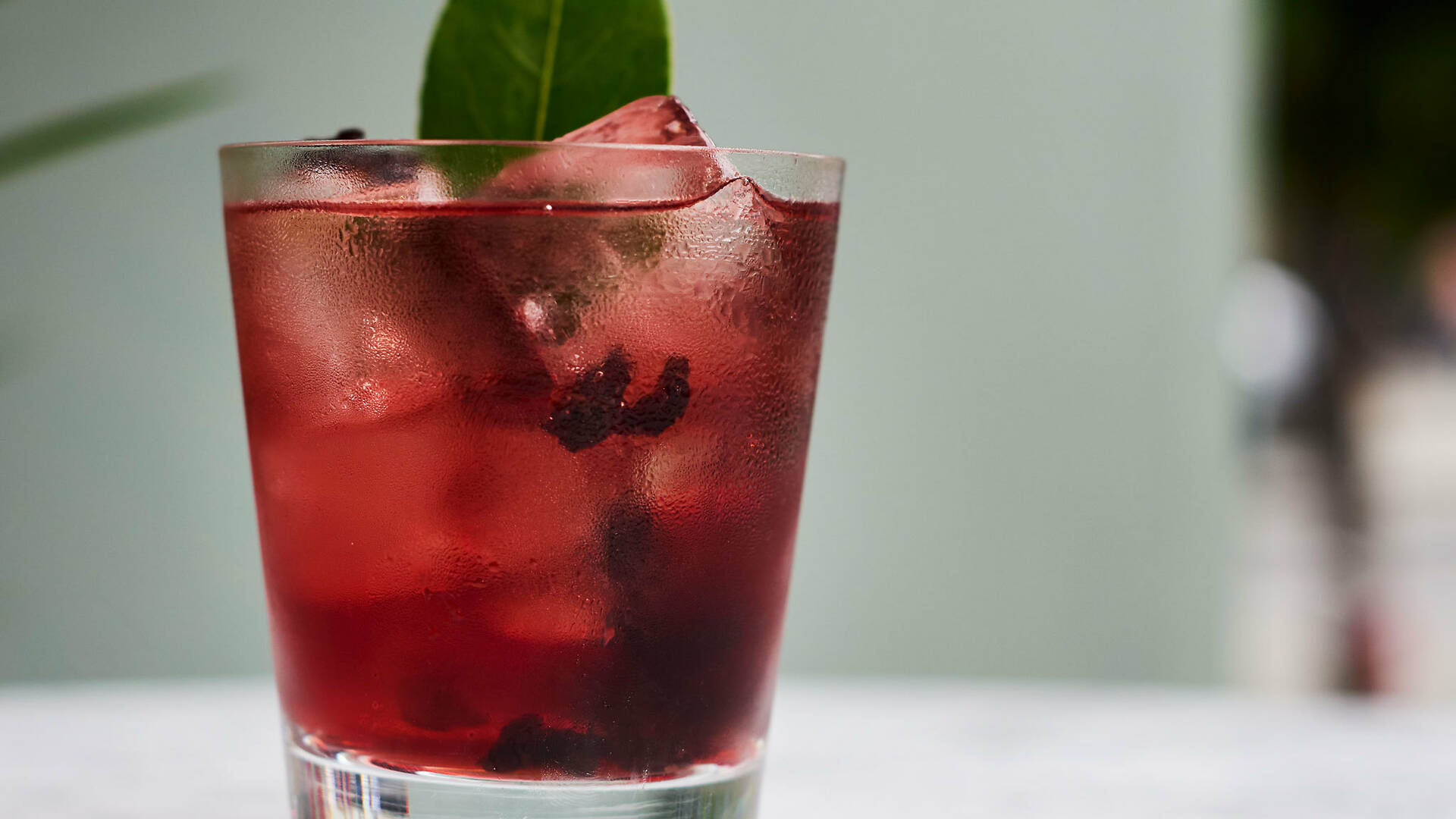 Nutshell Restaurants in Covent Garden, London