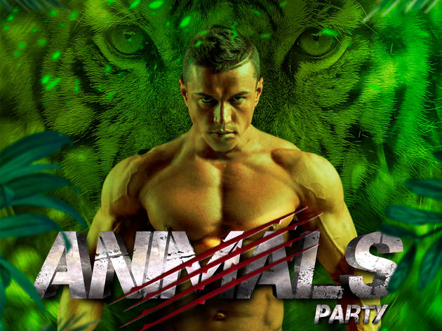 Animals Party Animals Party