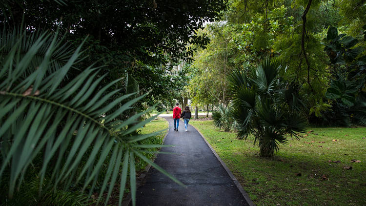 Jardim Botânico Tropical