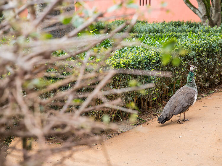 Coisas para fazer em família este fim-de-semana