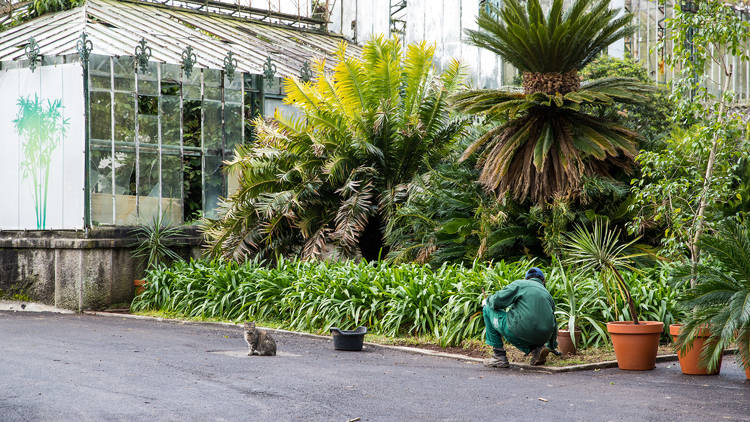 Jardim Botânico Tropical