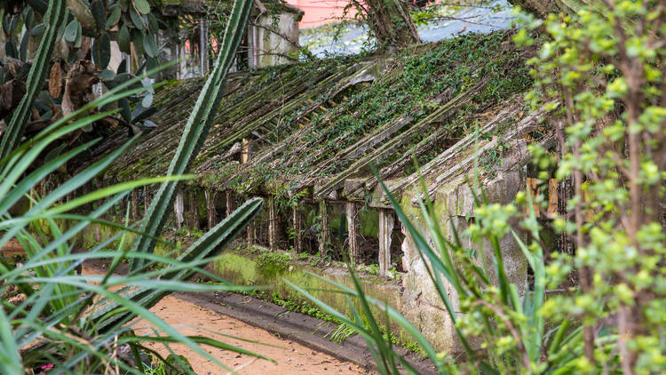 Jardim Botânico Tropical