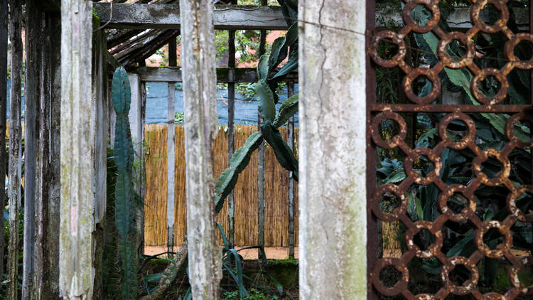 Jardim Botânico Tropical