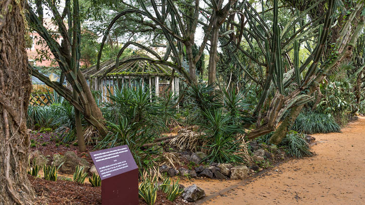 Jardim Botânico Tropical