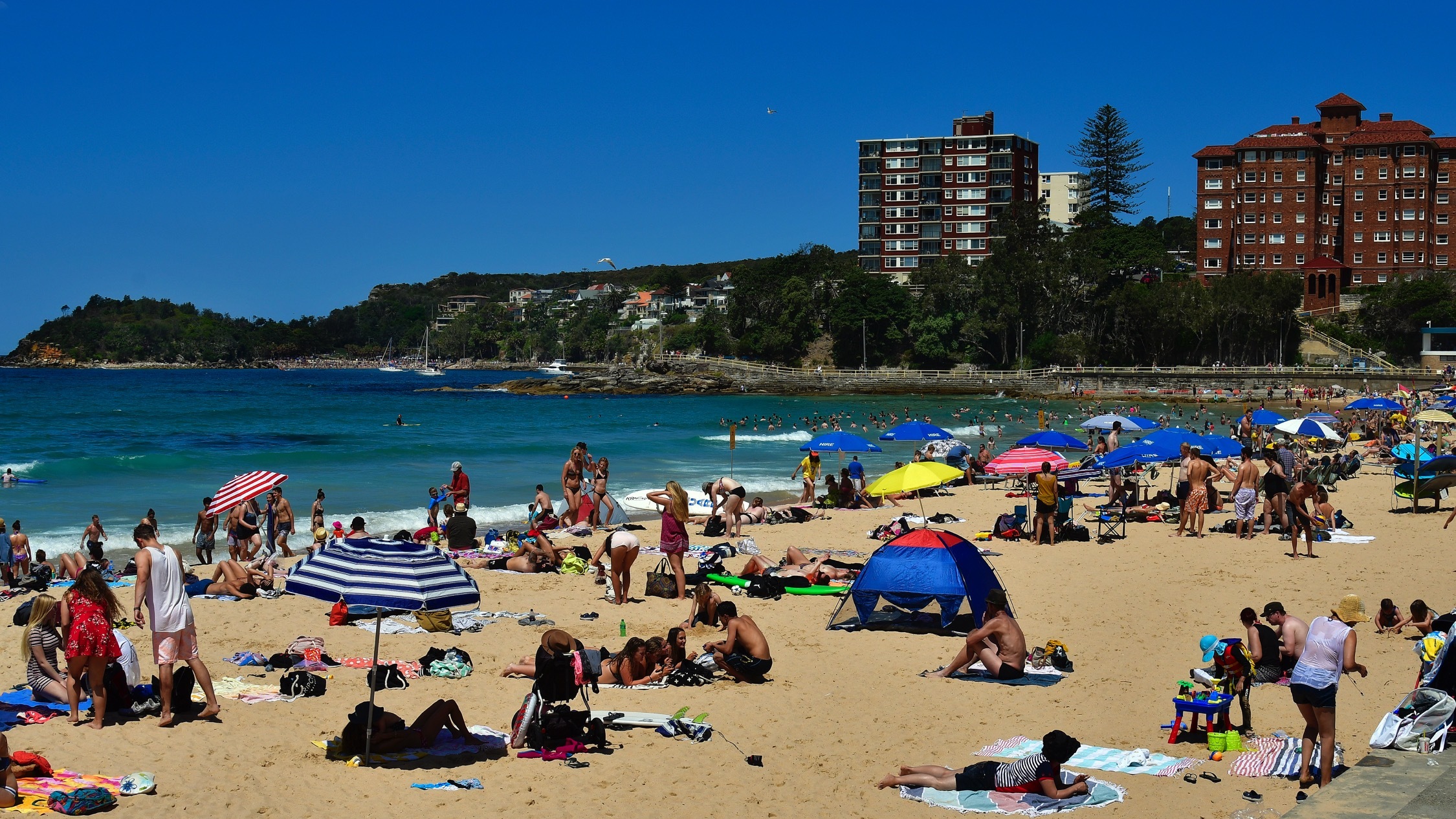 Según TripAdvisor, estas playas de Sydney y Australia son las mejores del mundo