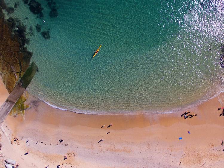 Shelly Beach, Manly