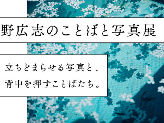 幡野広志のことばと写真展 幡野広志のことばと写真展