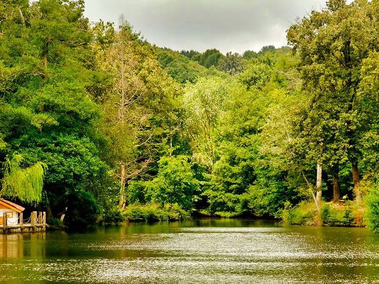 Atatürk Arboretumu