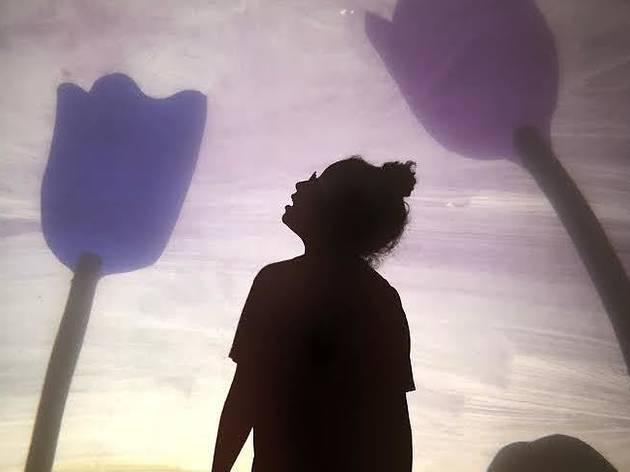 Taste The Clouds Taste The Clouds