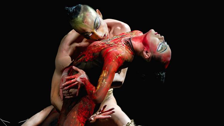 Spring Forth: China's most important dance company is coming to Israel