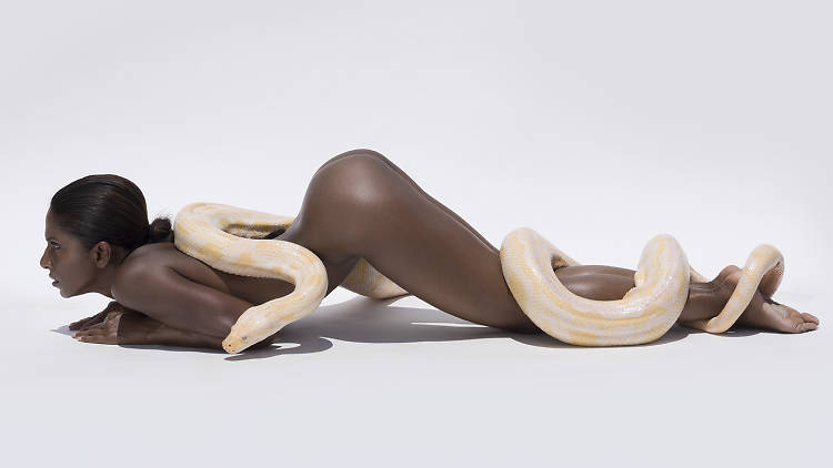 Naked Beauty by Sylvia Blum