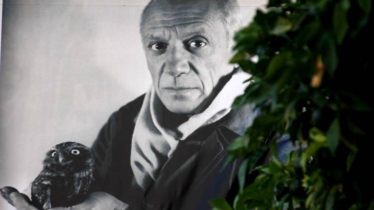 Pablo Picasso 