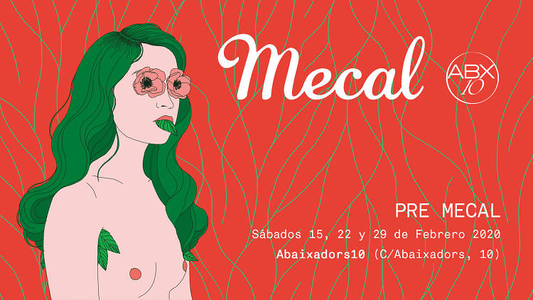 Pre Mecal 2020