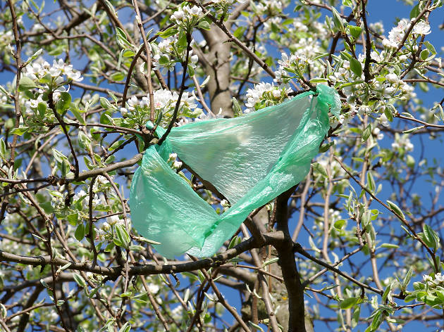 Plastic bag Plastic bag
