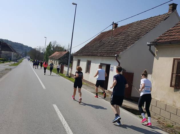 Zvonimir Panežić Memorial Race Zvonimir Panežić Memorial Race