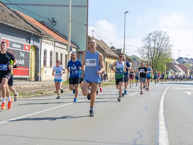 Osječki Ferivi polumaraton Osječki Ferivi polumaraton