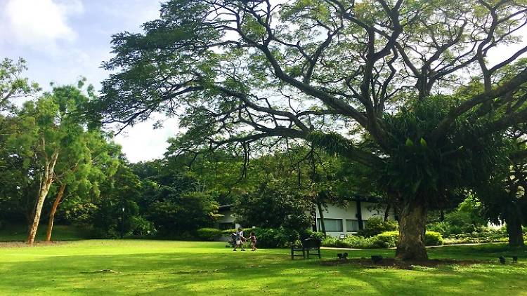 The best parks for picnics in Singapore