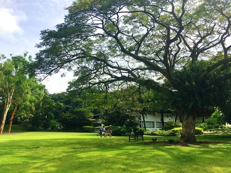 The best parks for picnics in Singapore