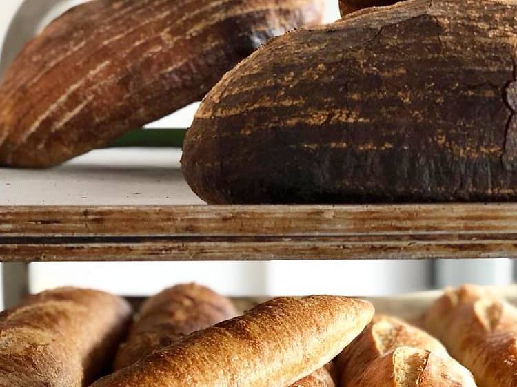 Bread Club