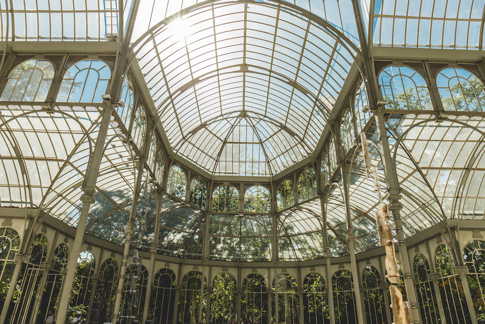 Retiro Park in Madrid - What to see and do - Citylife Madrid