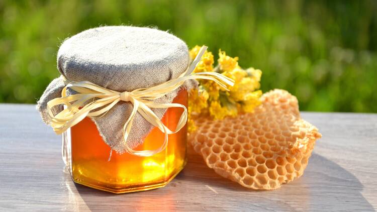 Days of Honey Delicacies of Central Istria