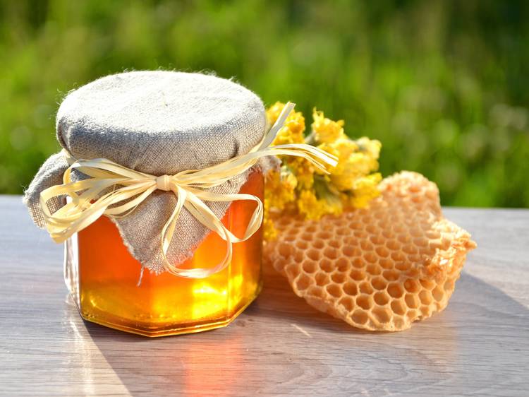 Days of Honey Delicacies of Central Istria