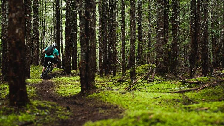 Mountain biking