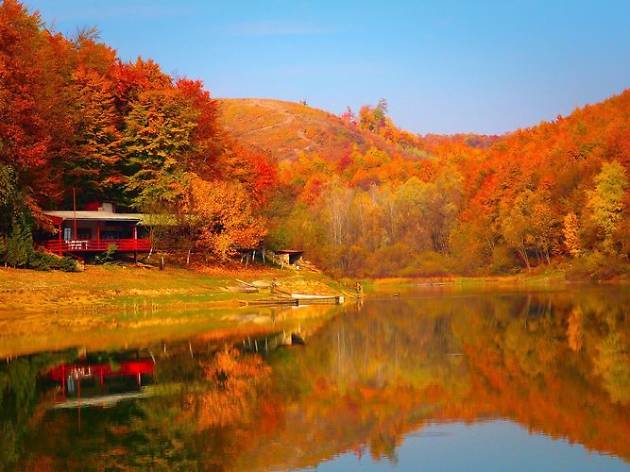 Slavonski Brod's Petnja lake glowing with the colours of fall Slavonski Brod's Petnja lake glowing with the colours of fall