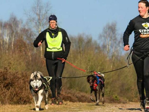 Marjan Trail Marjan Trail