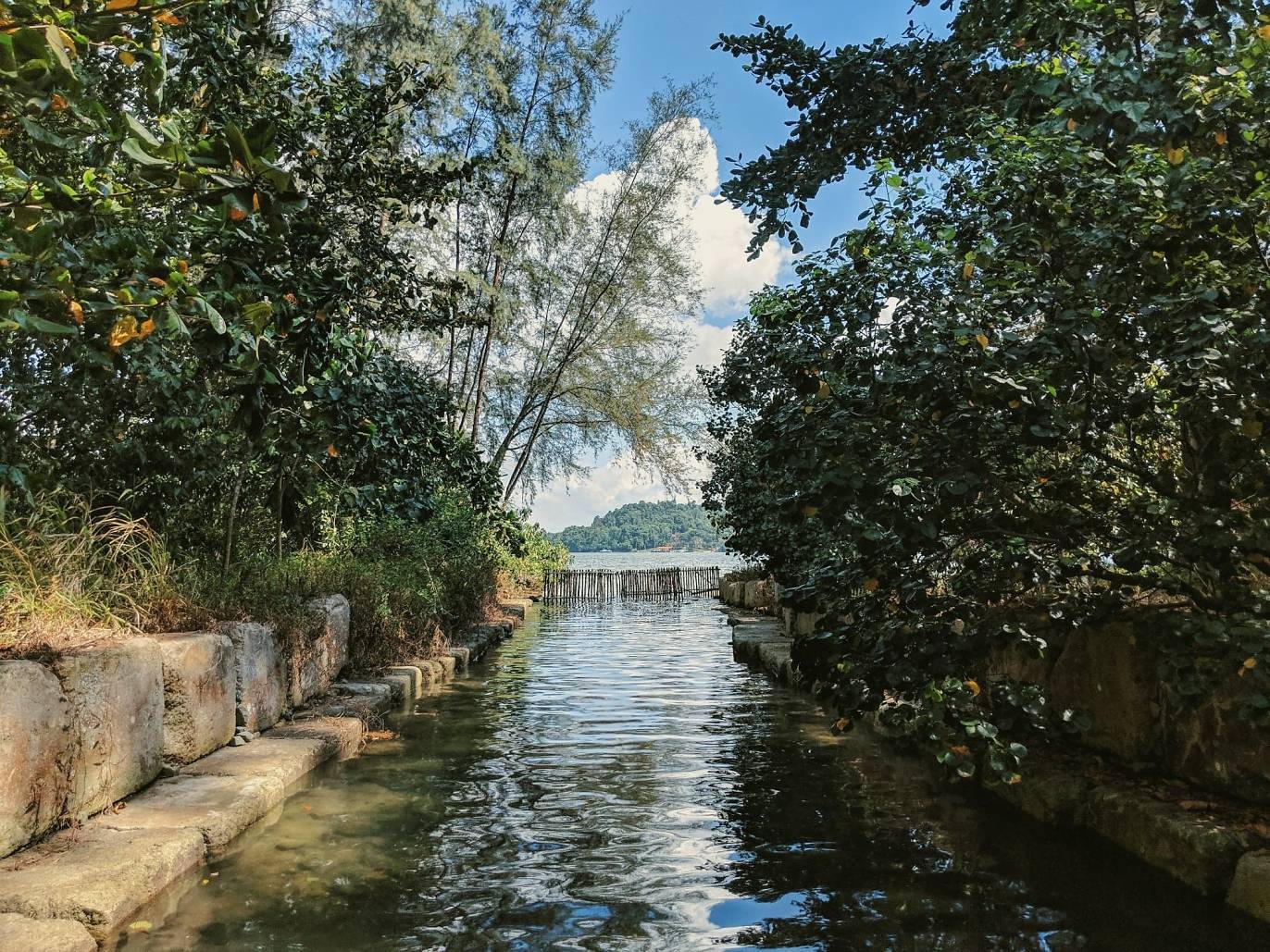 13 Best Secret And Hidden Parks In Singapore