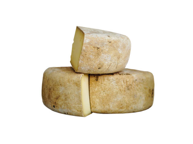 Queijo Queijo
