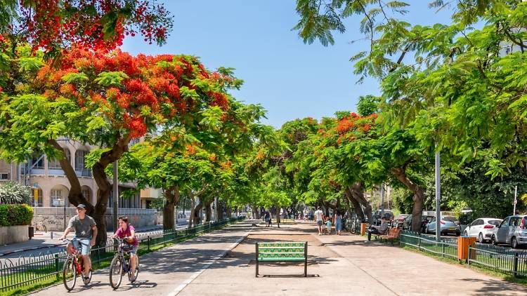 A stroll down Tel Aviv’s Rothschild Boulevard