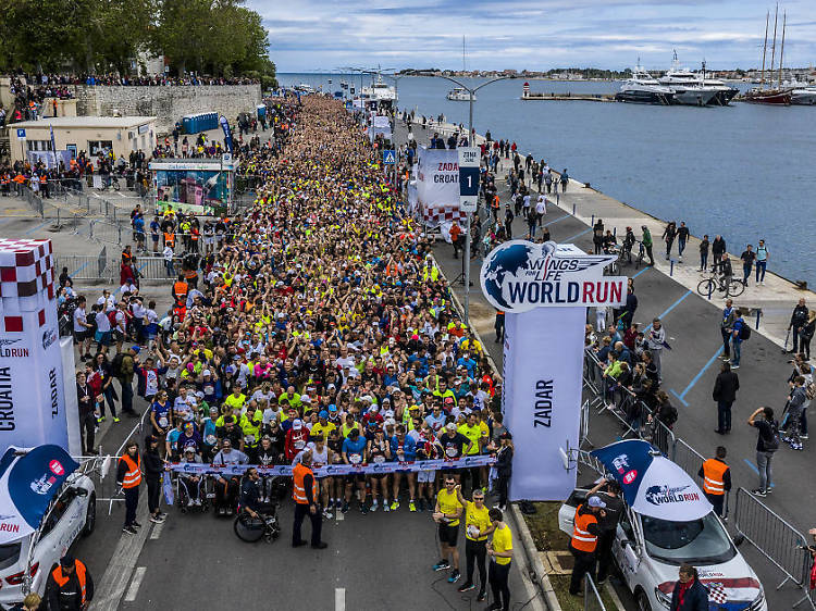 Wings for Life World Run - Croatia