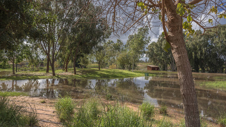 Herzliya Park