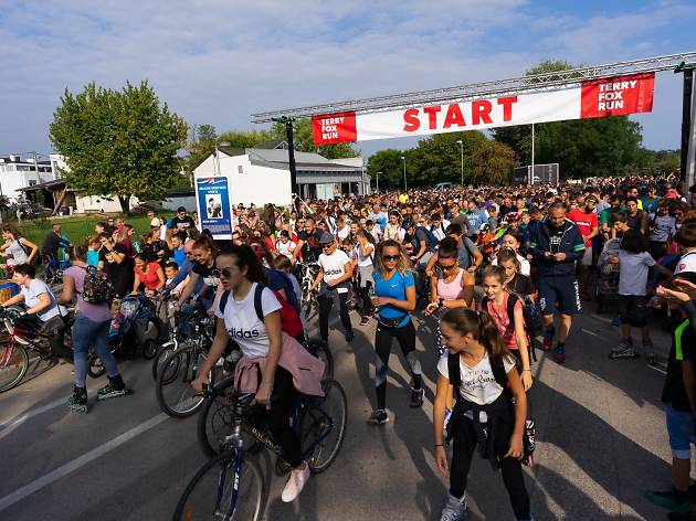 Terry Fox Run Terry Fox Run