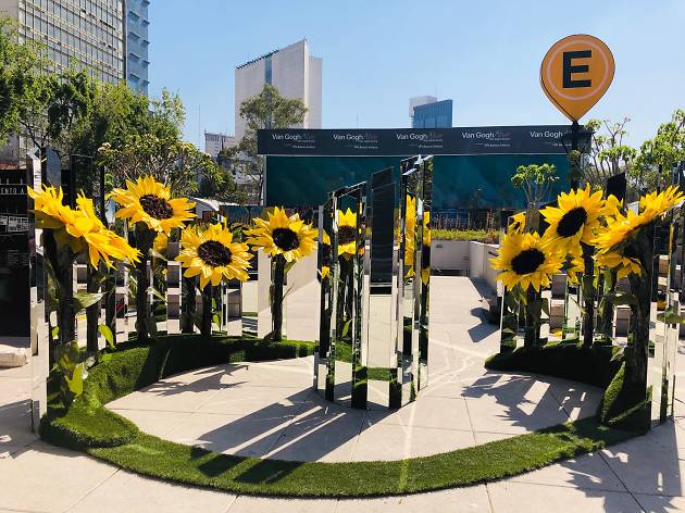 Van Gogh invade la CDMX Van Gogh invade la CDMX
